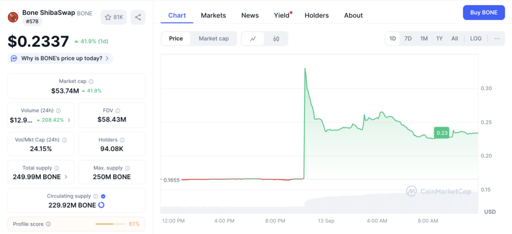 نمودار قیمت و اطلاعات بازار BONE - منبع: CoinMarketCap